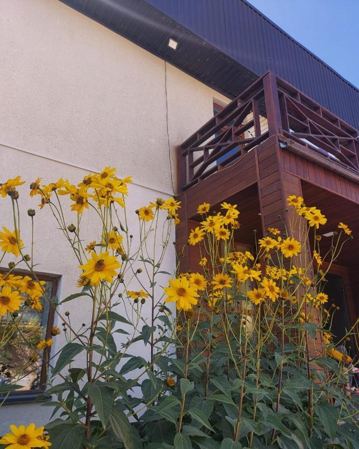 Guest House Tenir Too Naryn Екстериор снимка